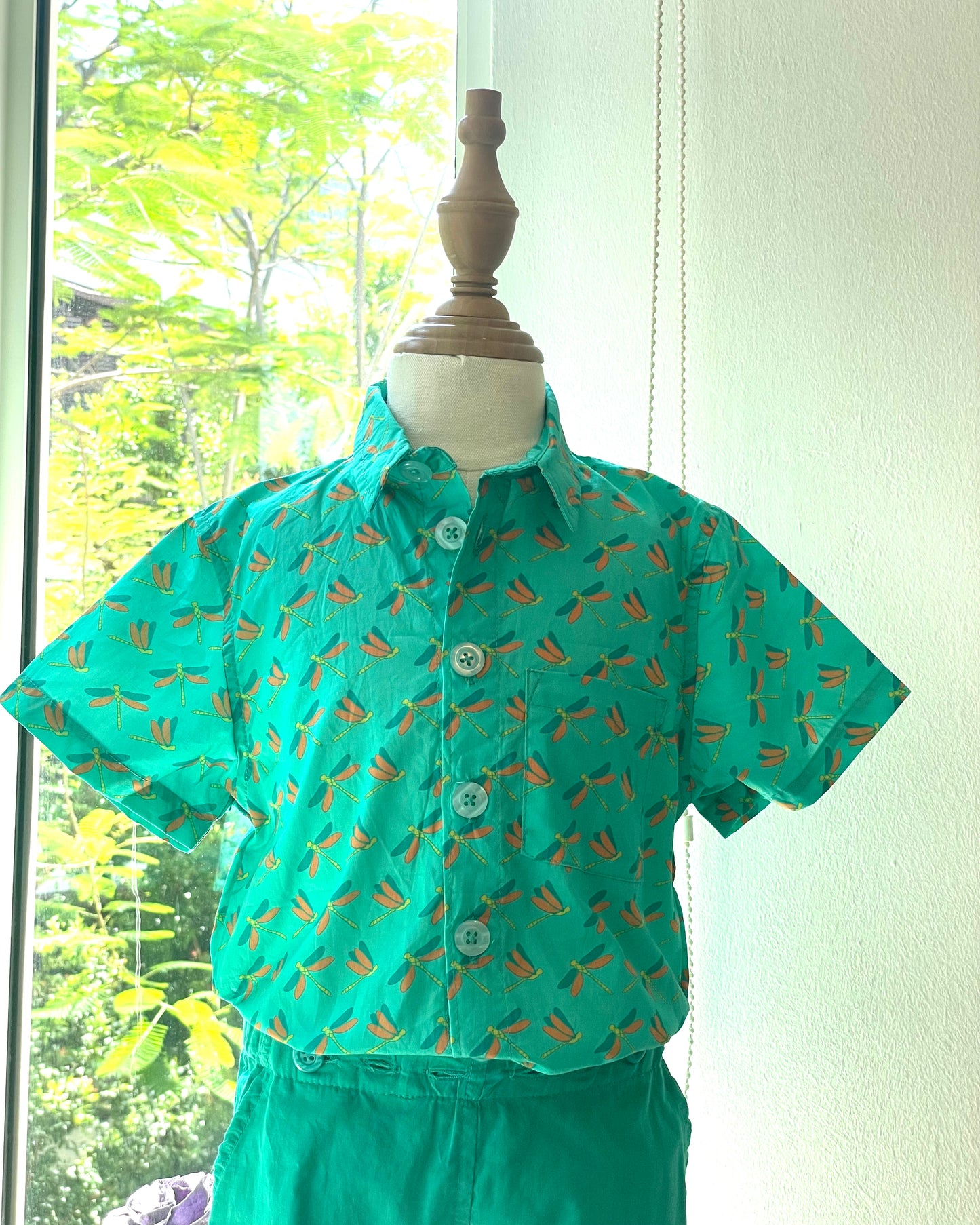 Nate Shirt - DragonFly on Green